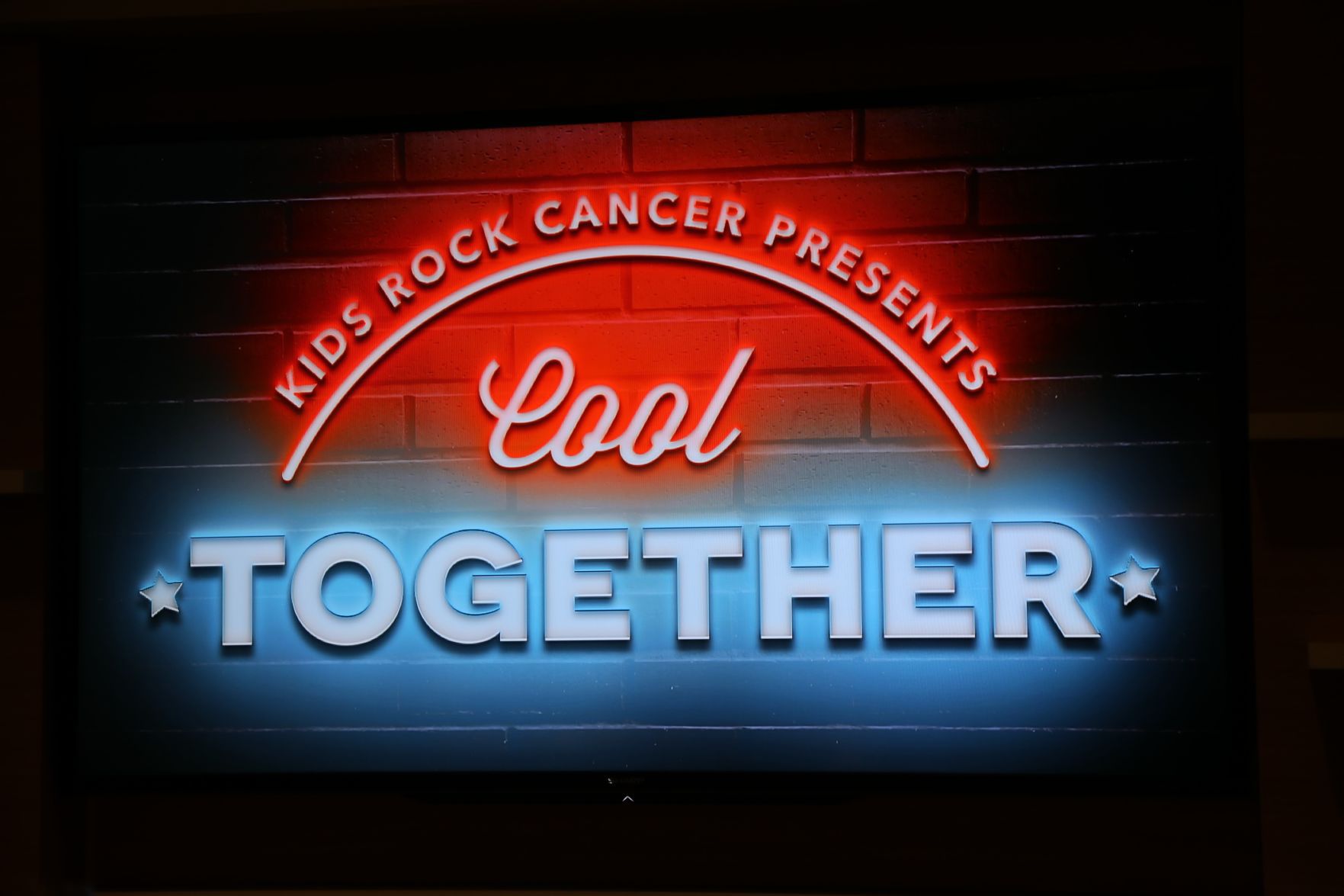 2017-Kids-Rock-Cancer-Concert-036.JPG